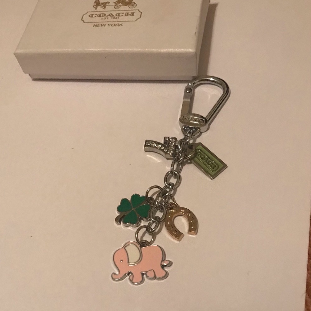 Lucky 🍀 keychain